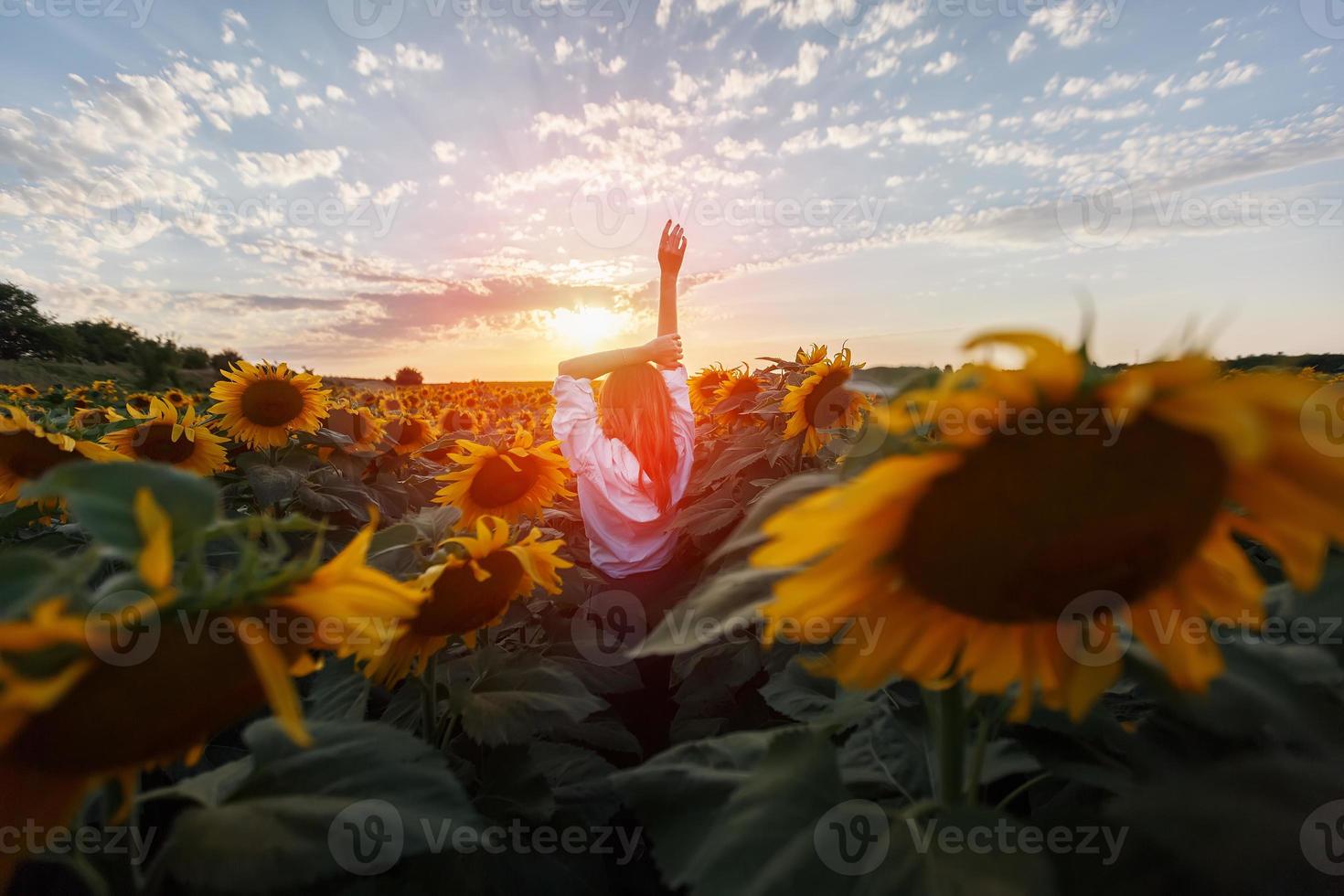 A red-haired girl in a field of sunflowers looks at the sunset. photo