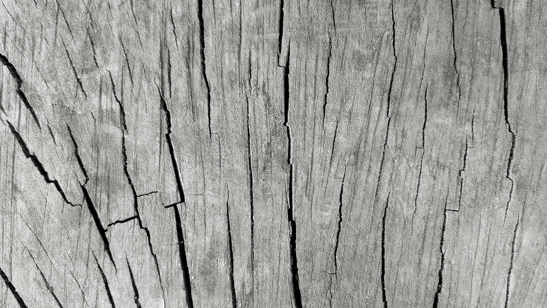 Gray or Grey cracked wooden background or wall. Abstract wood wallpaper and Art line or damaged concept. photo