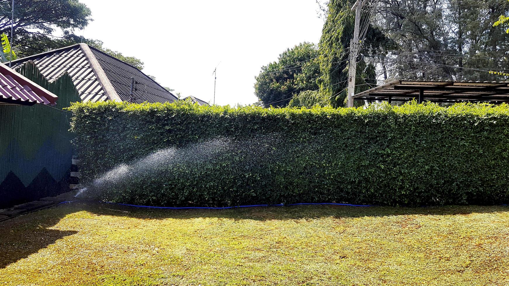 Sprinkler splashing or watering lawn and trees in garden with copy space on sunny day. photo