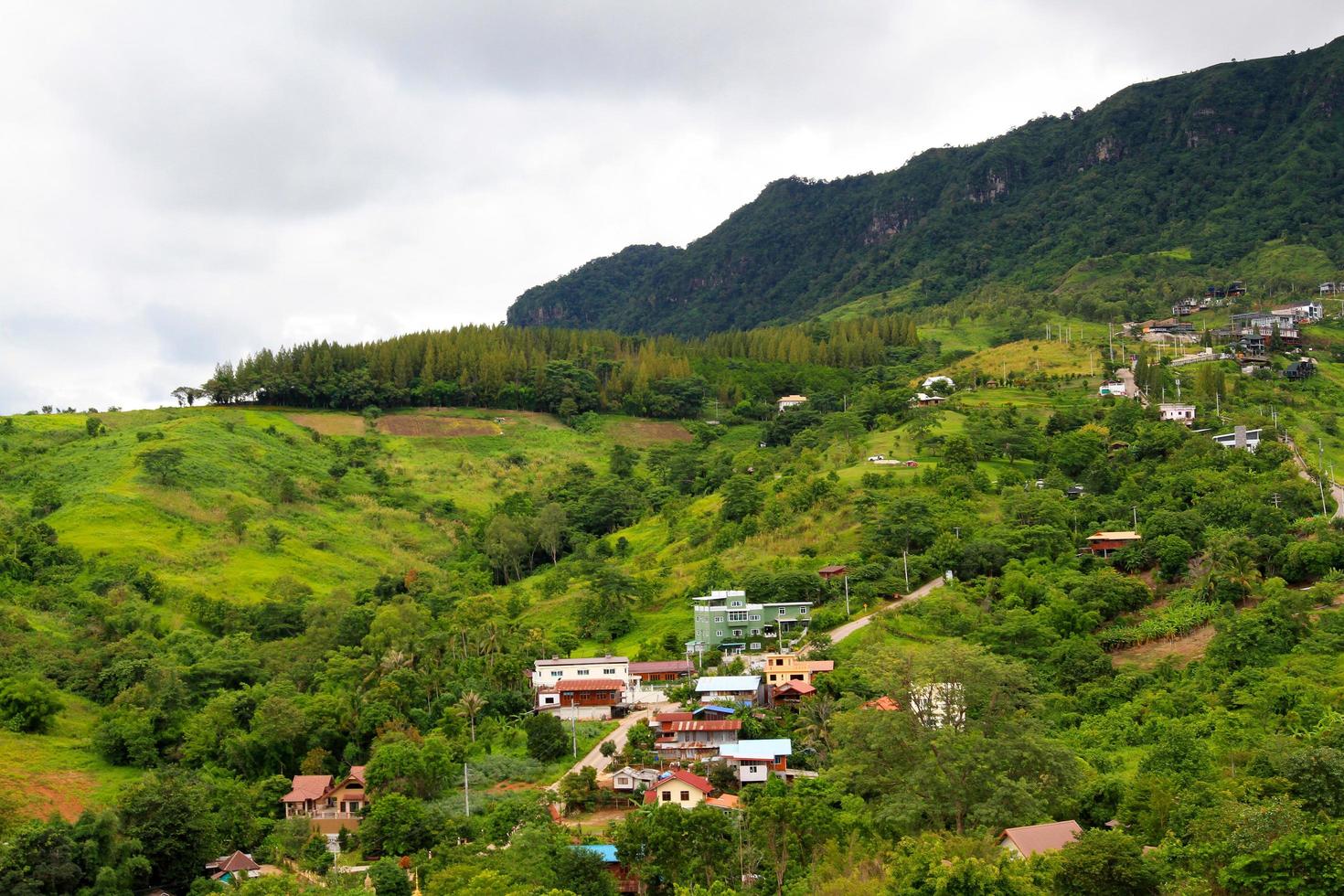 Many house or home built arrange on green mountain with sky background. Village on hill at North of Thailand. Structure of building among tropical forest or jungle. People live in nature. Landscape photo