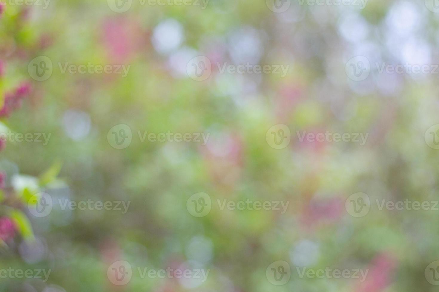 Natural blurred background. Clean spring background with copy space. photo