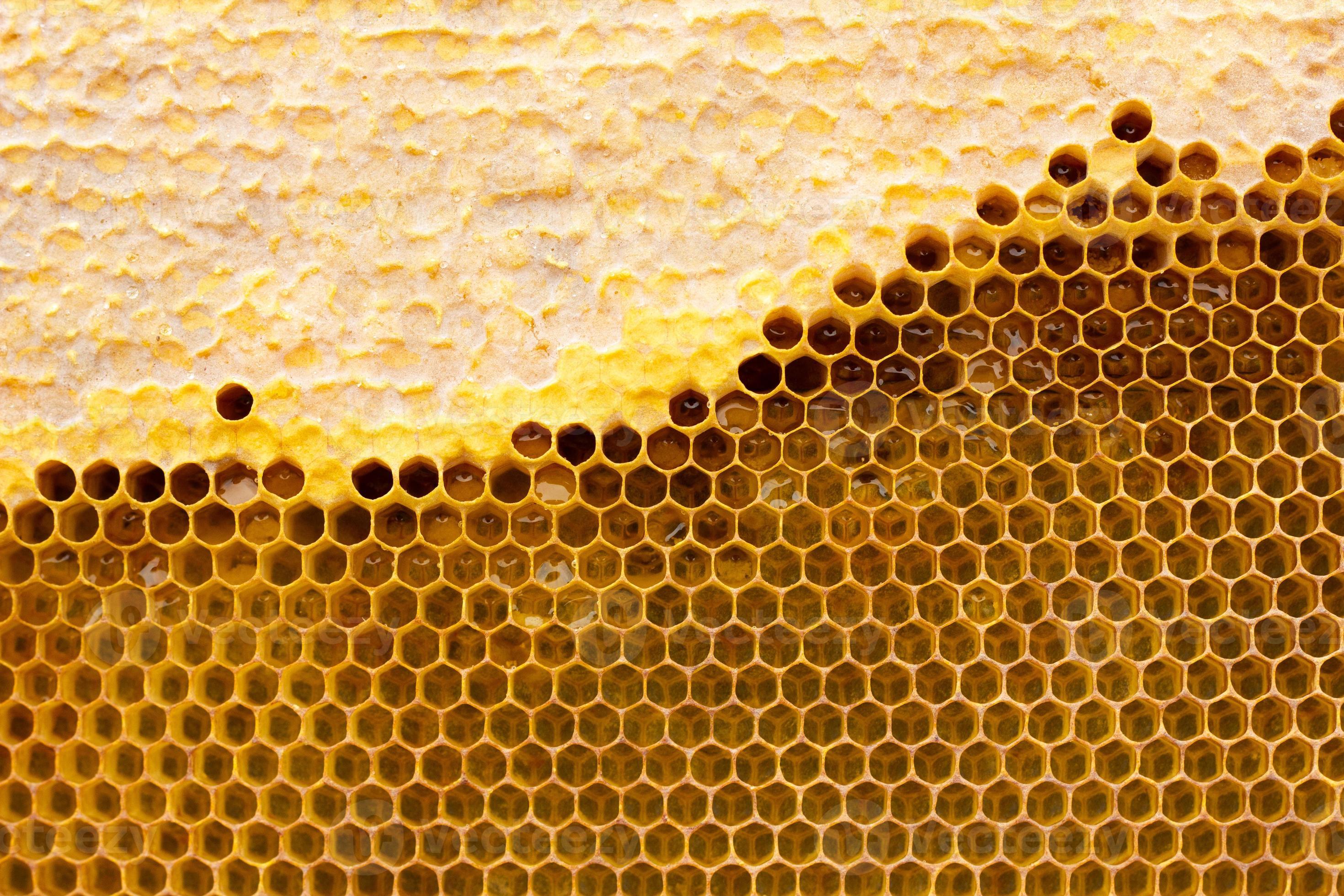 honeycomb with a honey texture. . Background texture and drawing