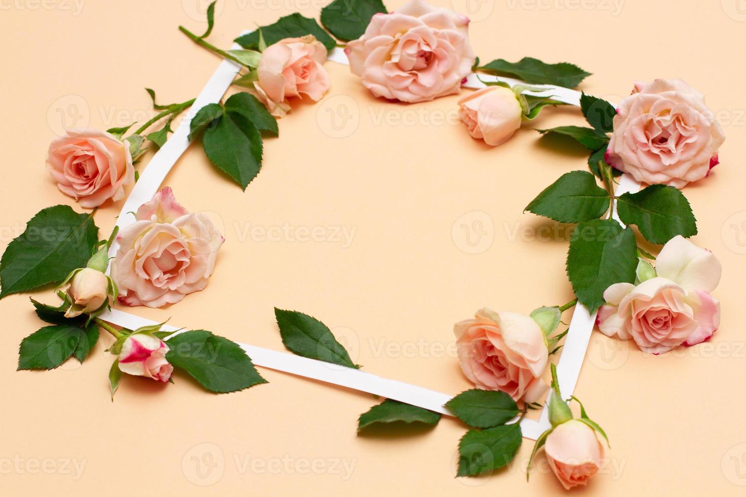 small white and pink flowers of a rose with green young leaves photo