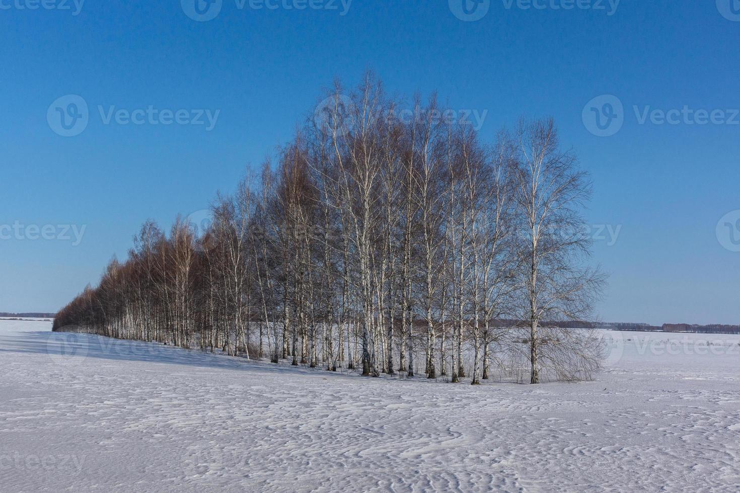 Winter sunrise in Russia nature landscape photo