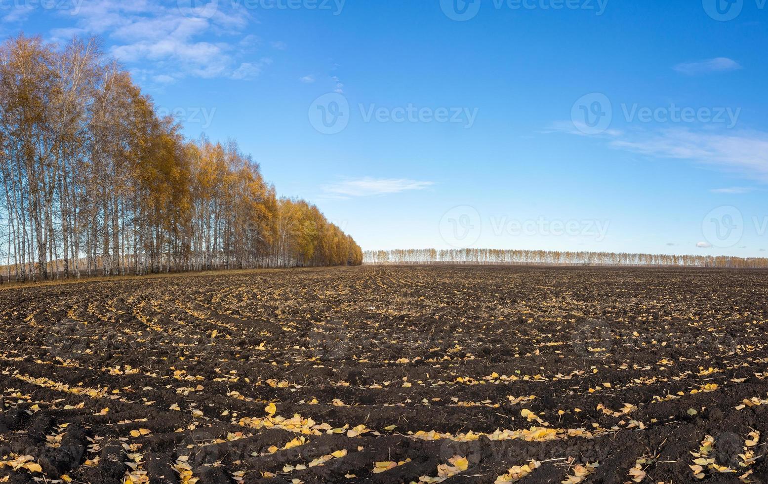 paisaje otoñal de un campo arado. antecedentes. el foco está en el campo lejano. foto