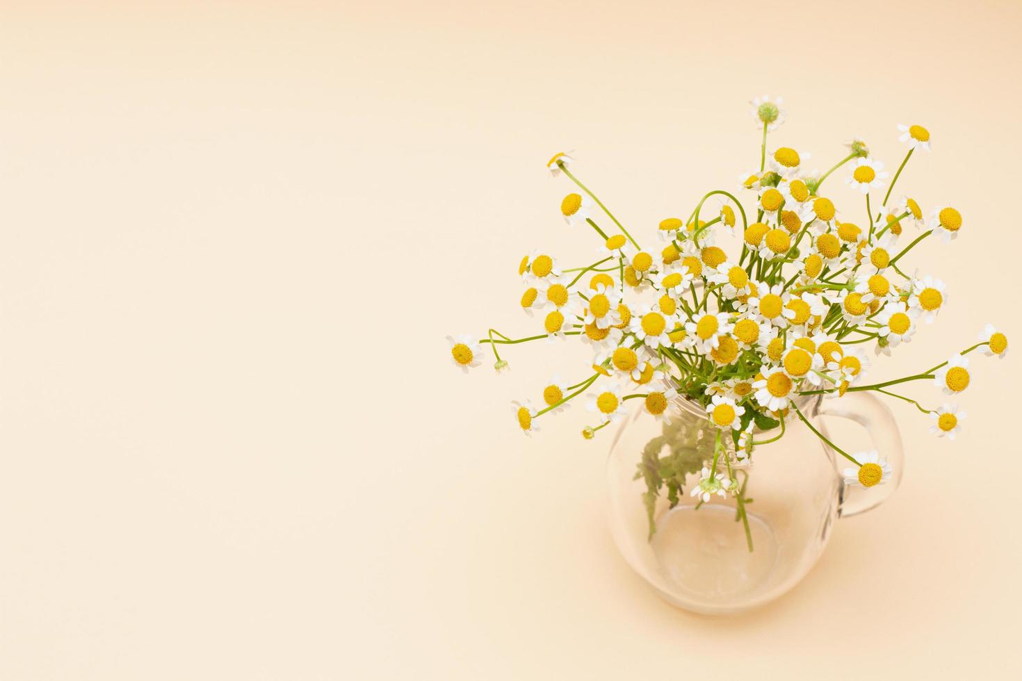 small chamomile flowers in a glass vase photo