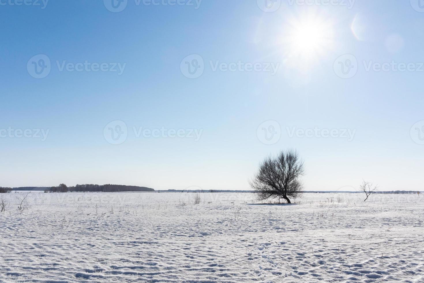 amanecer de invierno en rusia naturaleza paisaje foto