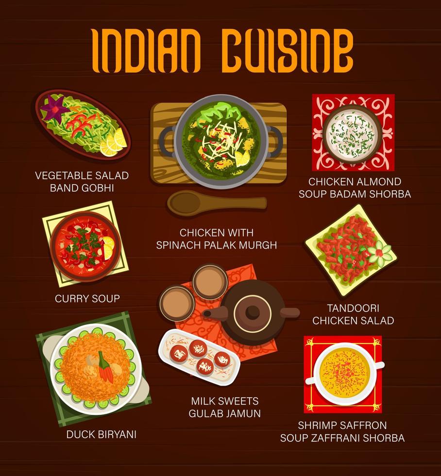 Indian cuisine meals menu with vector spice food