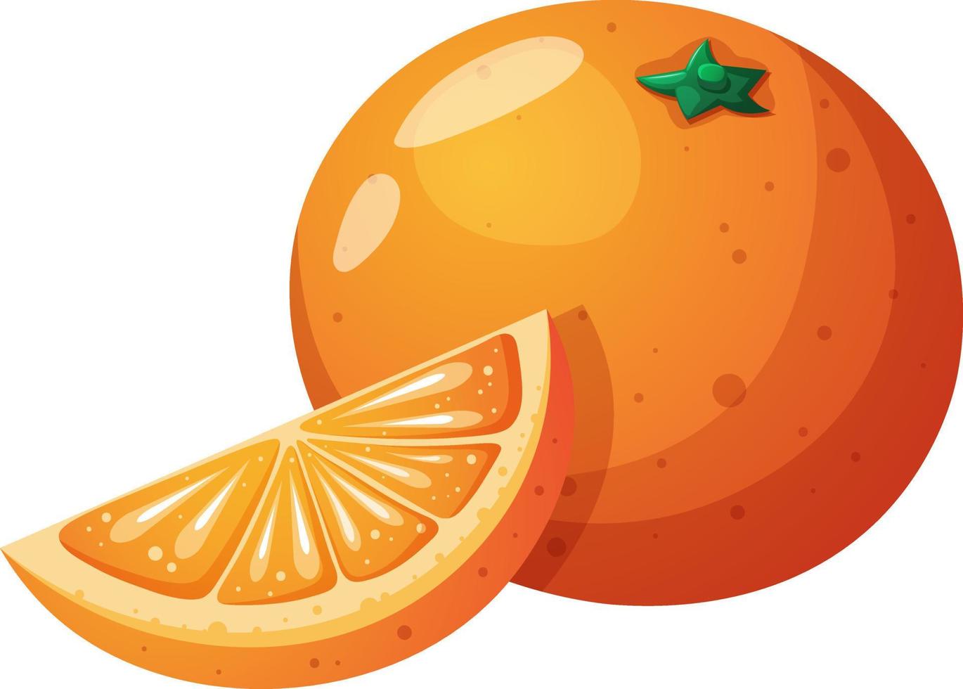 Bright juicy orange, citrus in cartoon style vector