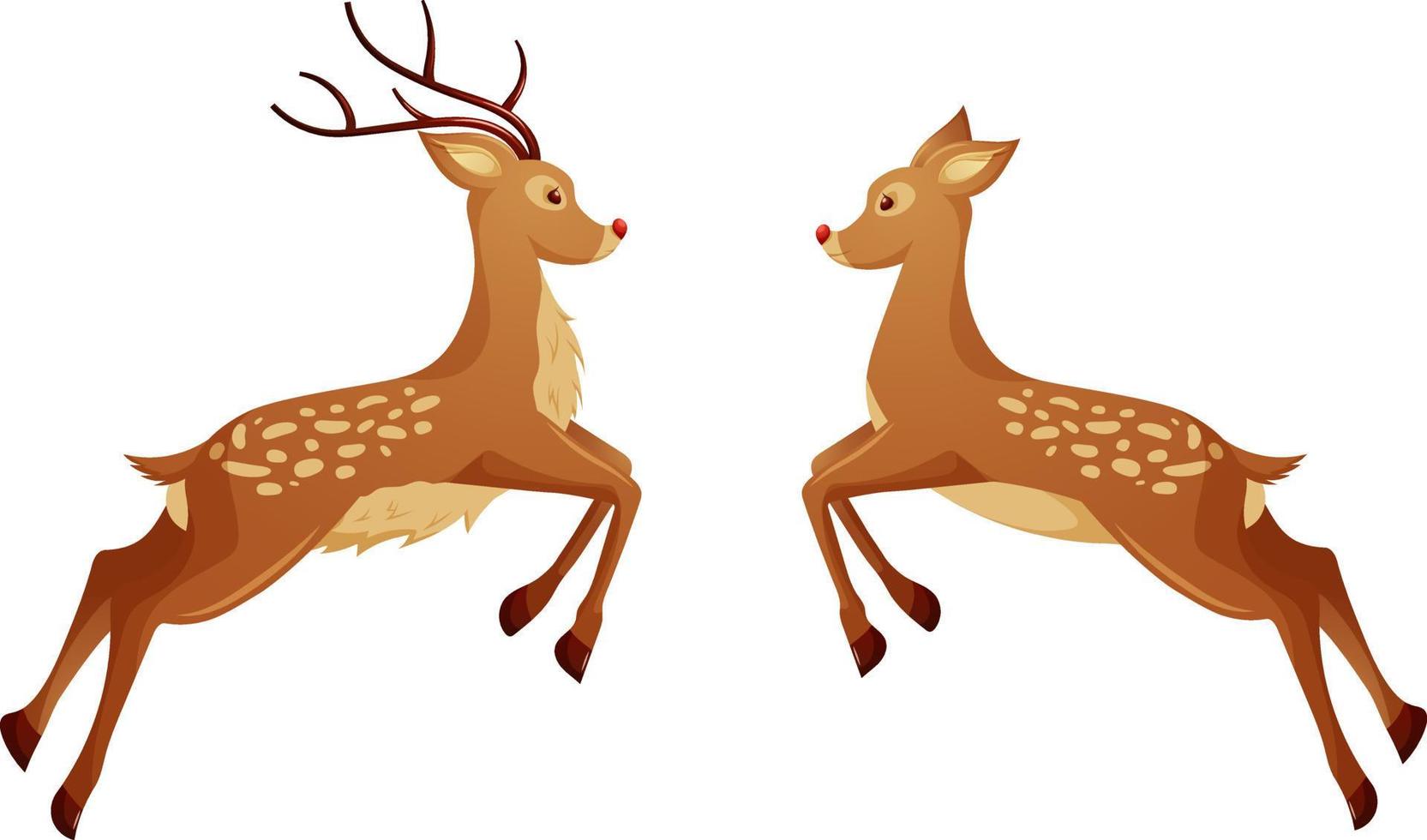 Pair of Christmas reindeer, male and female deer in cartoon style isolated vector