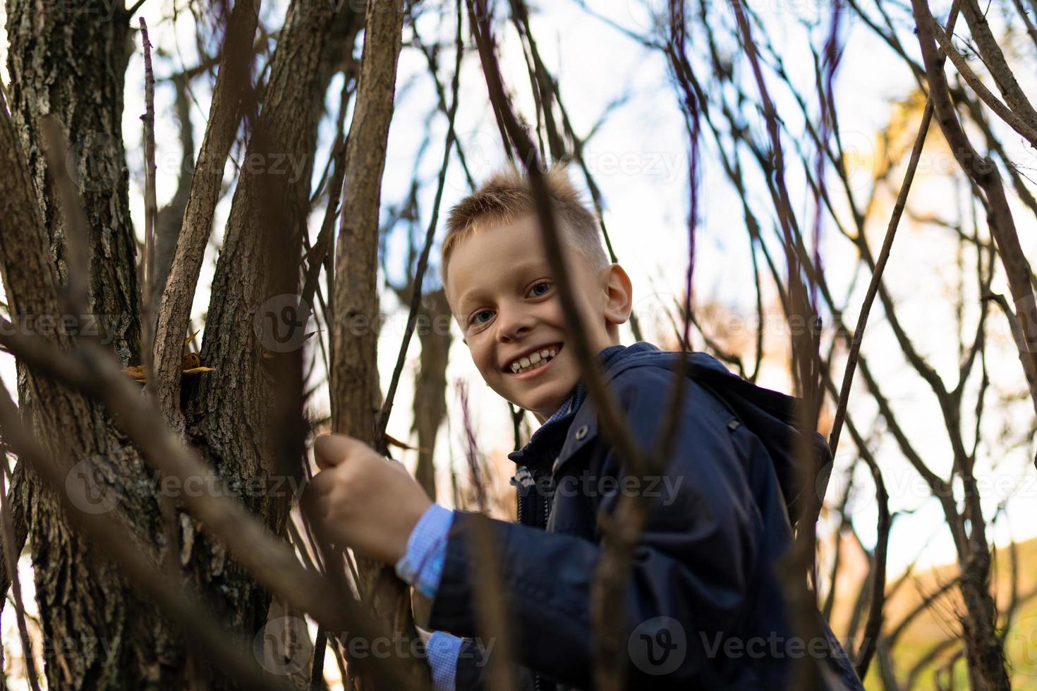 A mischievous boy in a blue jacket climbs a tree between branches photo