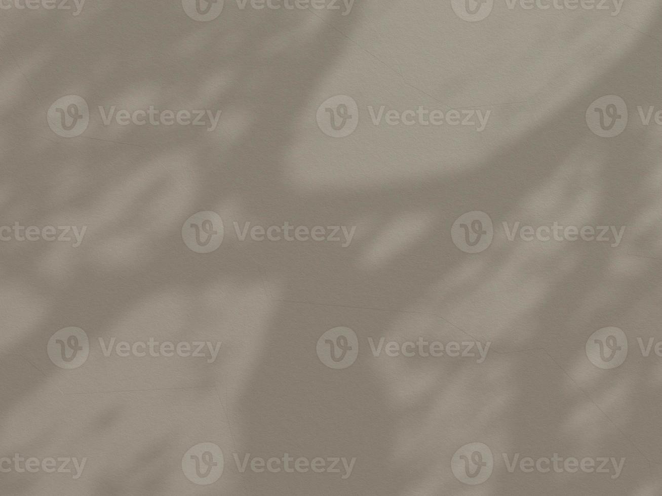 Abstract background cement wall organic shadow light concept backdrop. 3d rendering. photo