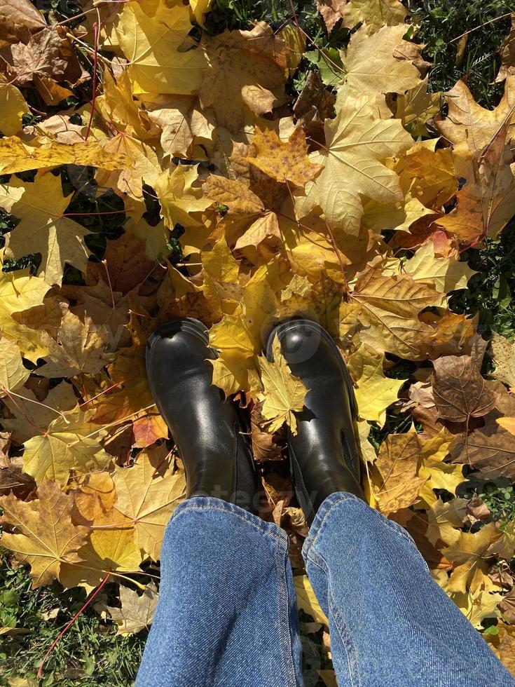 Legs in black boots and blue jeans, standing on the ground with autumn leaves, top view. Women's legs on autumn leaves. Beautiful autumn photo