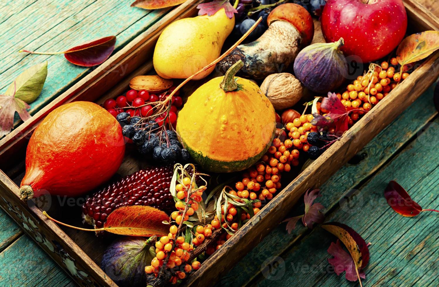 Autumnal still life with autumn harvest photo