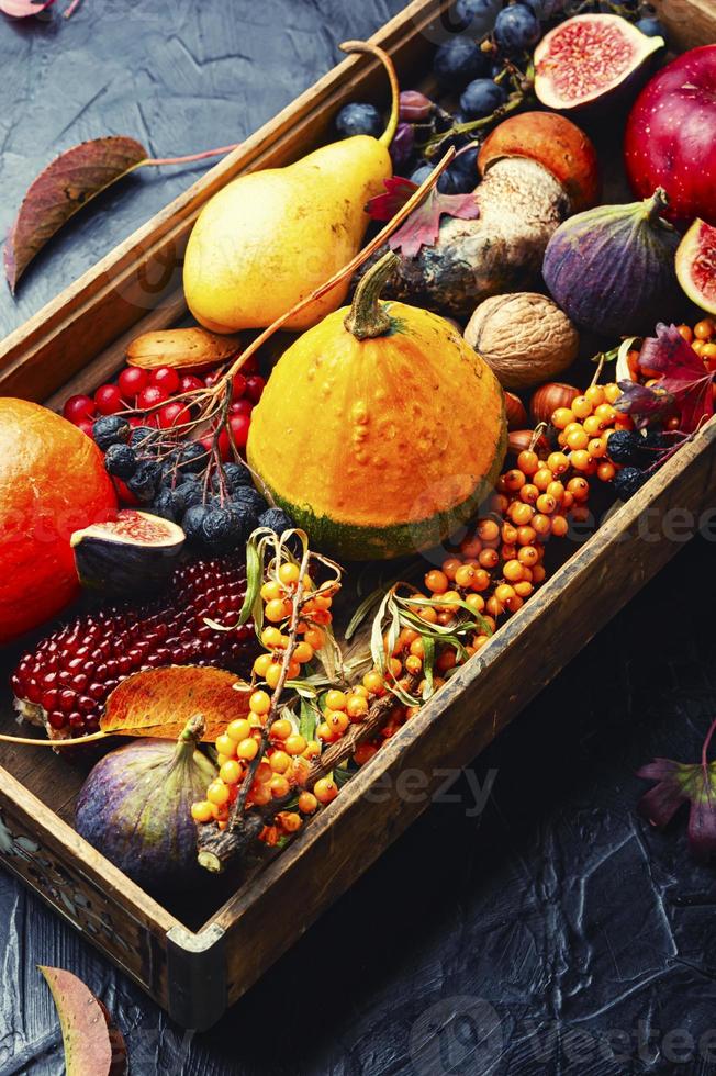 Autumn still life with autumn harvest photo