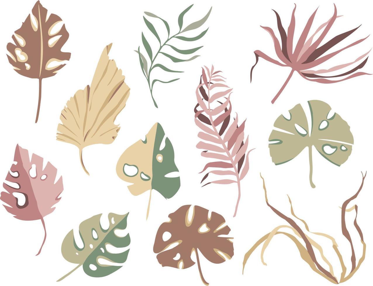 Vector colorful exotic leaves. Tropical collection of isolated elements. Blush, green and beige colors. Dry leaves