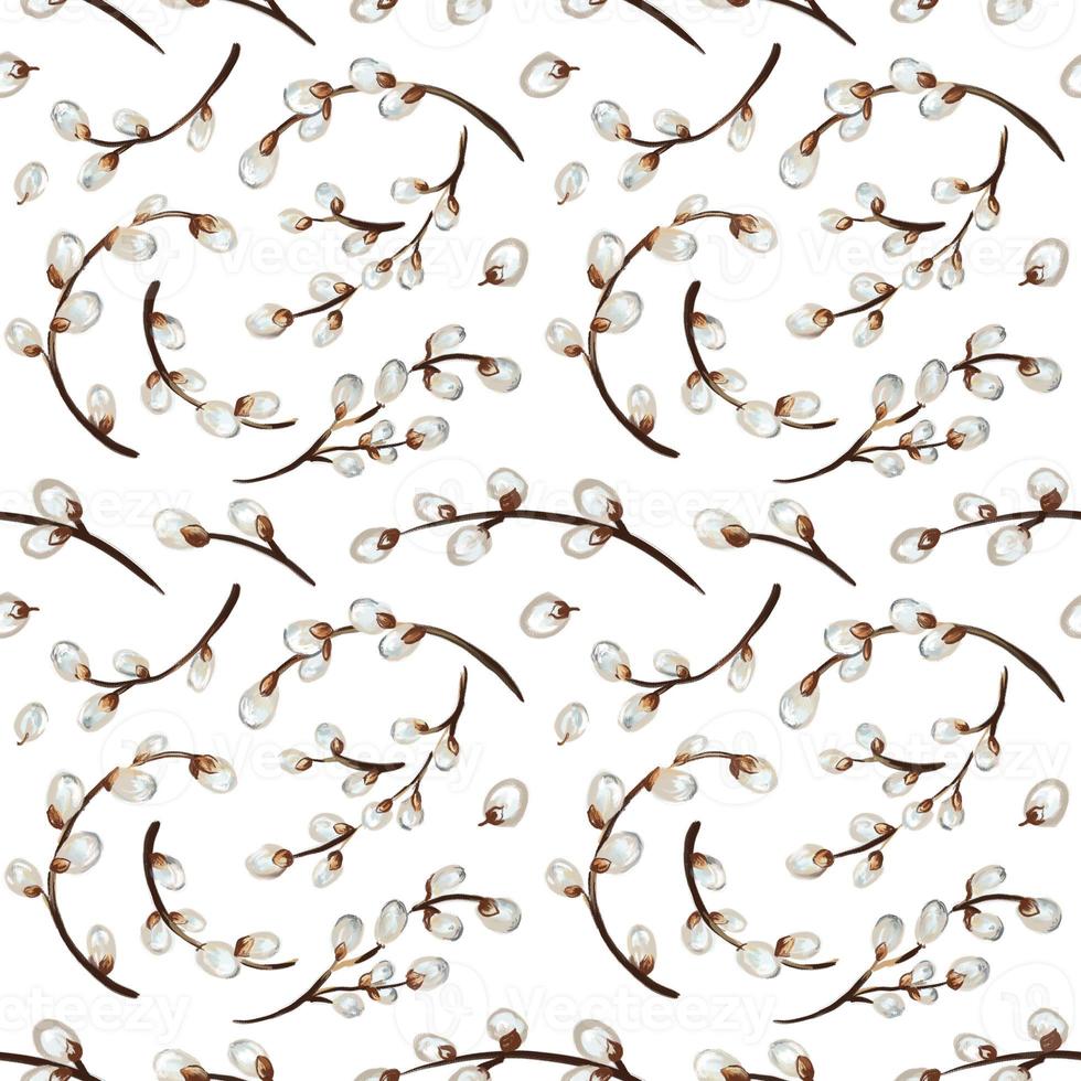 Willow twig seamless pattern. Easter pattern. Hand-drawn illustration photo
