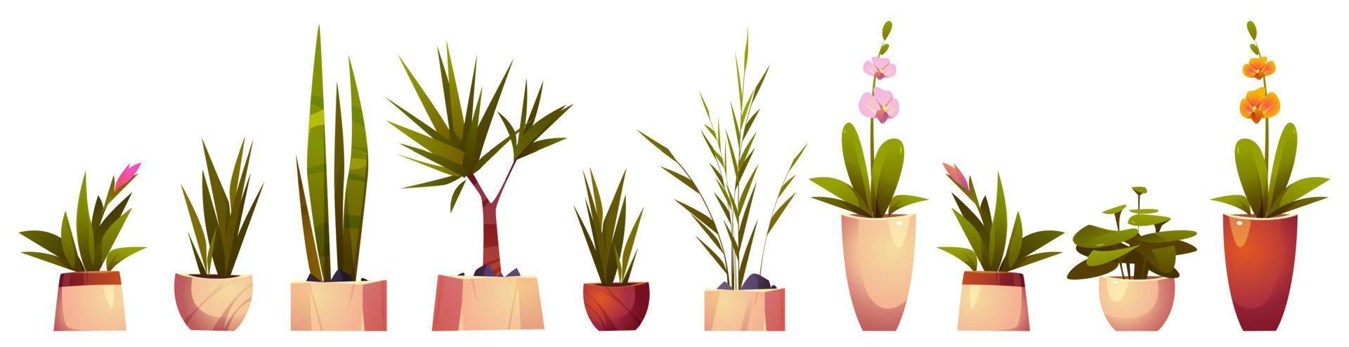 plantas de interior y flores en macetas vector