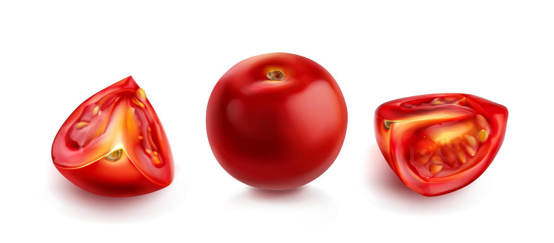 Tomato cherry, red tomatoes whole and slice vector