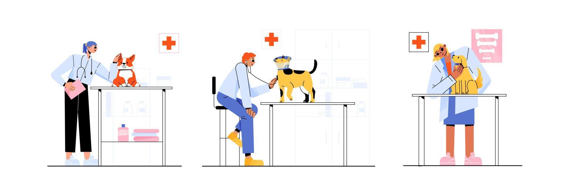 Veterinarian doctors exam dogs in clinic vector