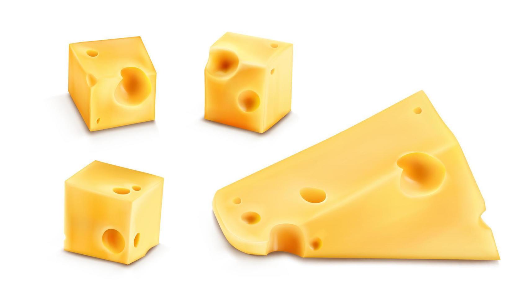 rebanadas de queso 3d ilustración vectorial realista vector