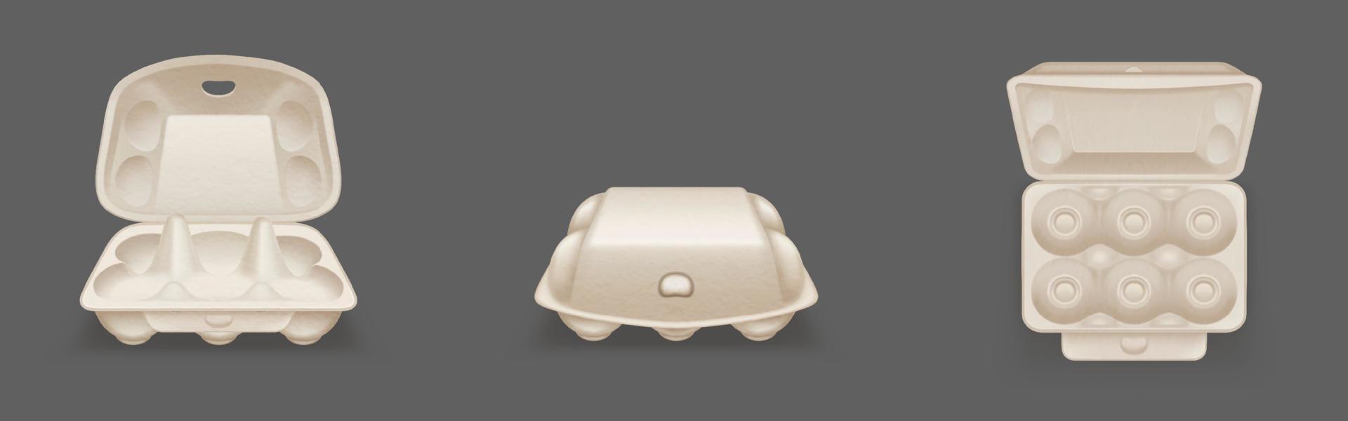 Empty carton egg tray, blank box package mockup vector
