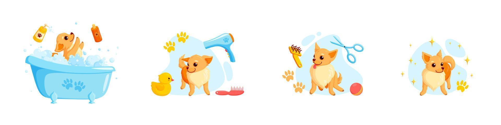 aseo de perros en un baño con champú para mascotas, peines y patitos de goma. Cachorro chihuahua juguetón en servicio de aseo. ilustración vectorial vector