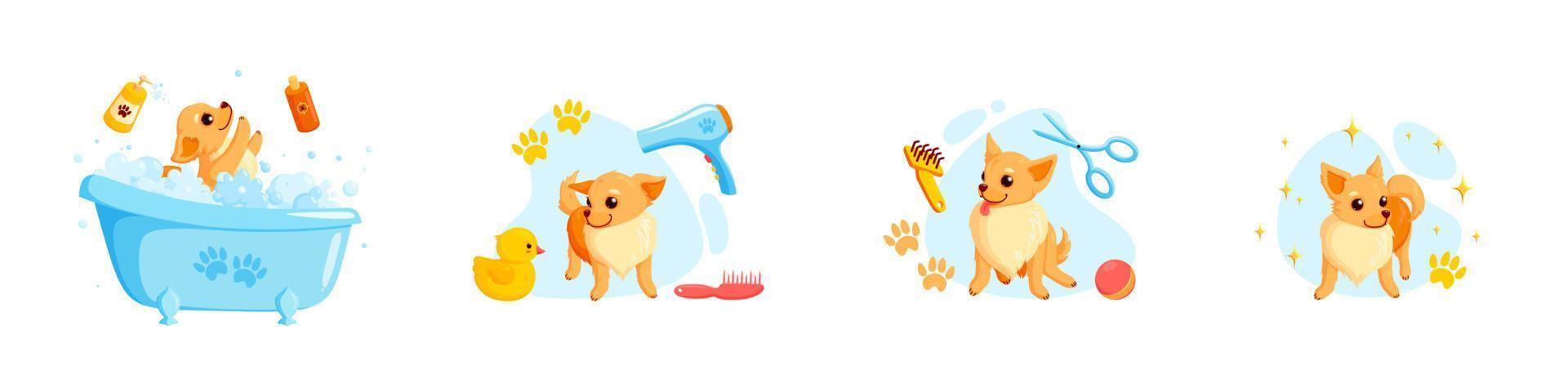 Dog grooming in a bath with pet shampoo, combs and rubber ducks. Playful chihuahua puppy in grooming service. Vector illustration