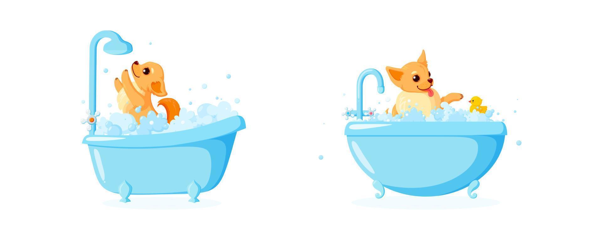 Bubble bath dog deals grooming