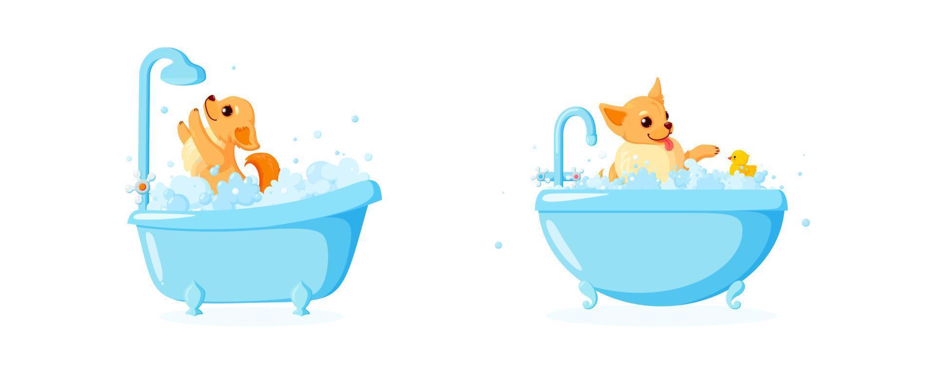 Dog grooming in a bathtub with rubber duck. Set with chihuahua in soap foam isolated in white background. Vector illustration