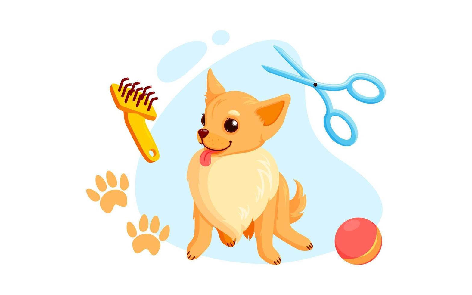 peluquería canina con tijeras de corte de pelo y peines. Cachorro chihuahua juguetón en servicio de aseo. ilustración vectorial vector