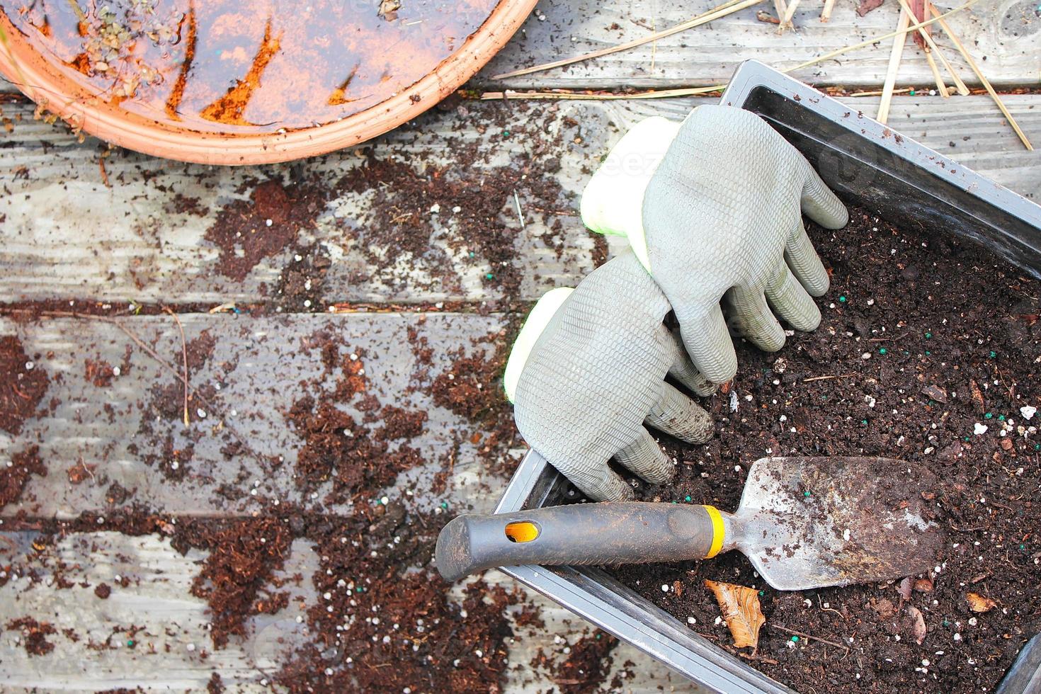 macetas con tierra preparada para plantar y guantes, encurtidos colocados en un balcón de madera salpicado de tierra. foto