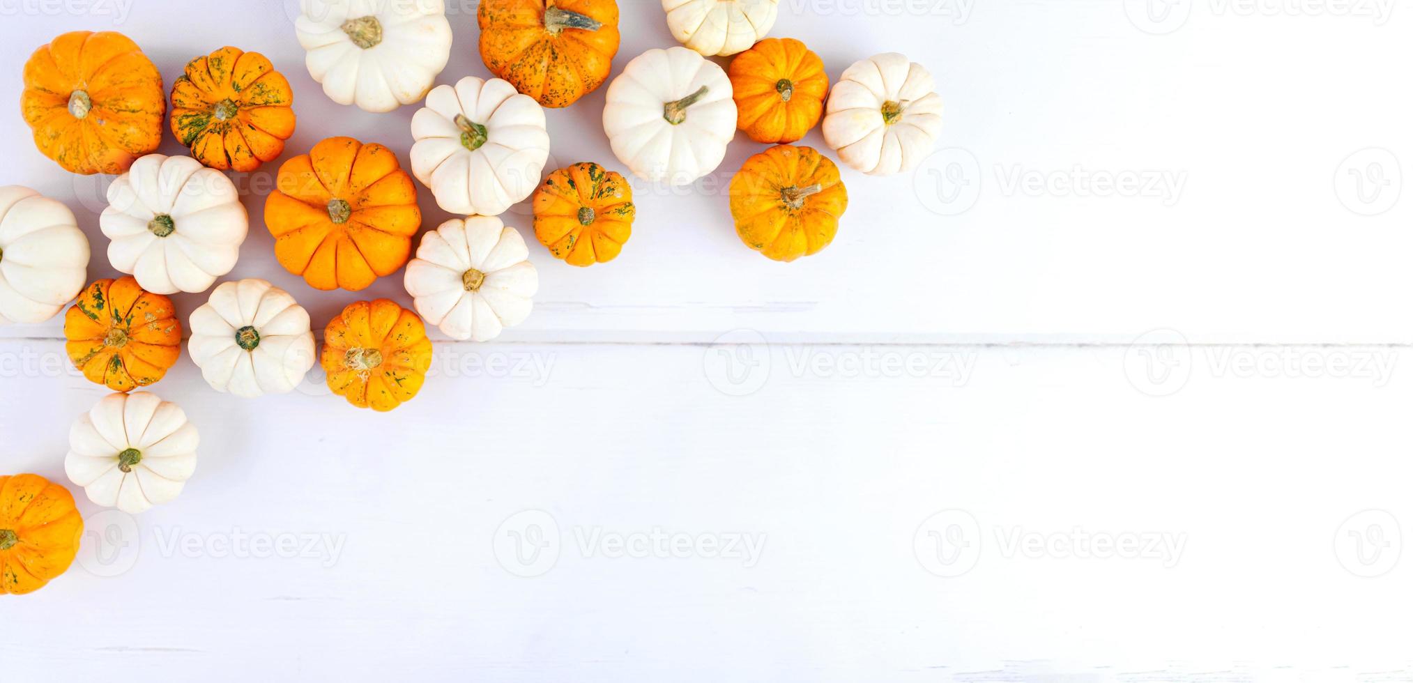 Autumn decoration on white with copy space. Fall, halloween, thanksgiving photo