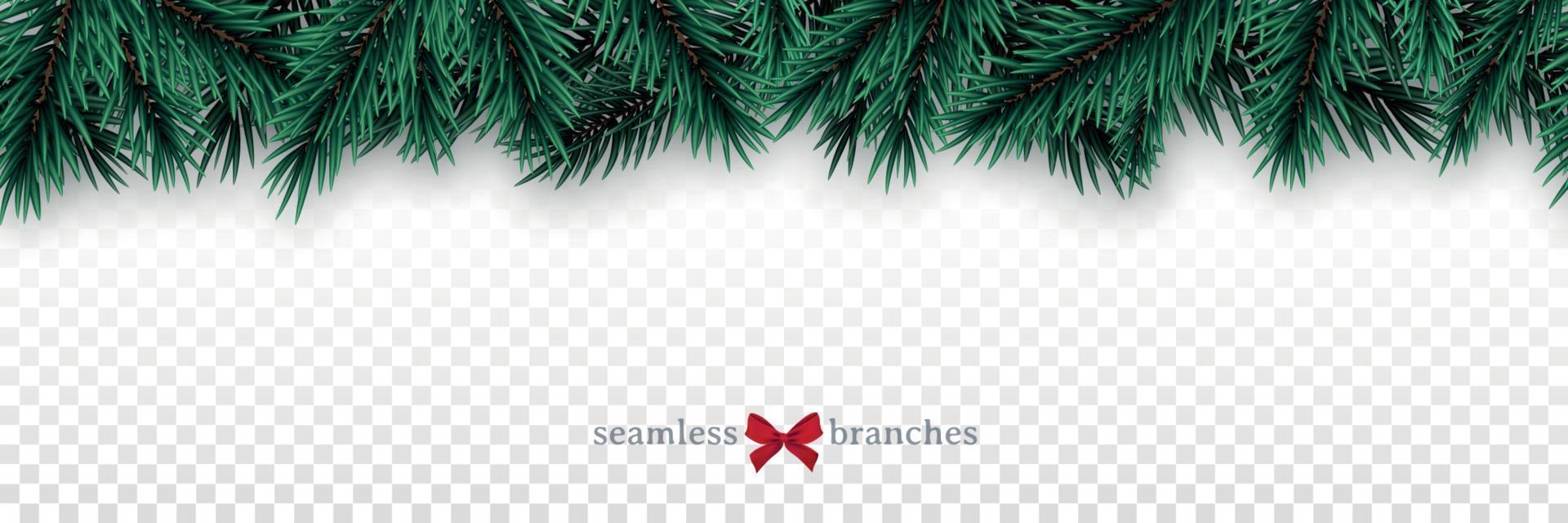 Horizontal border with fir tree branches. vector