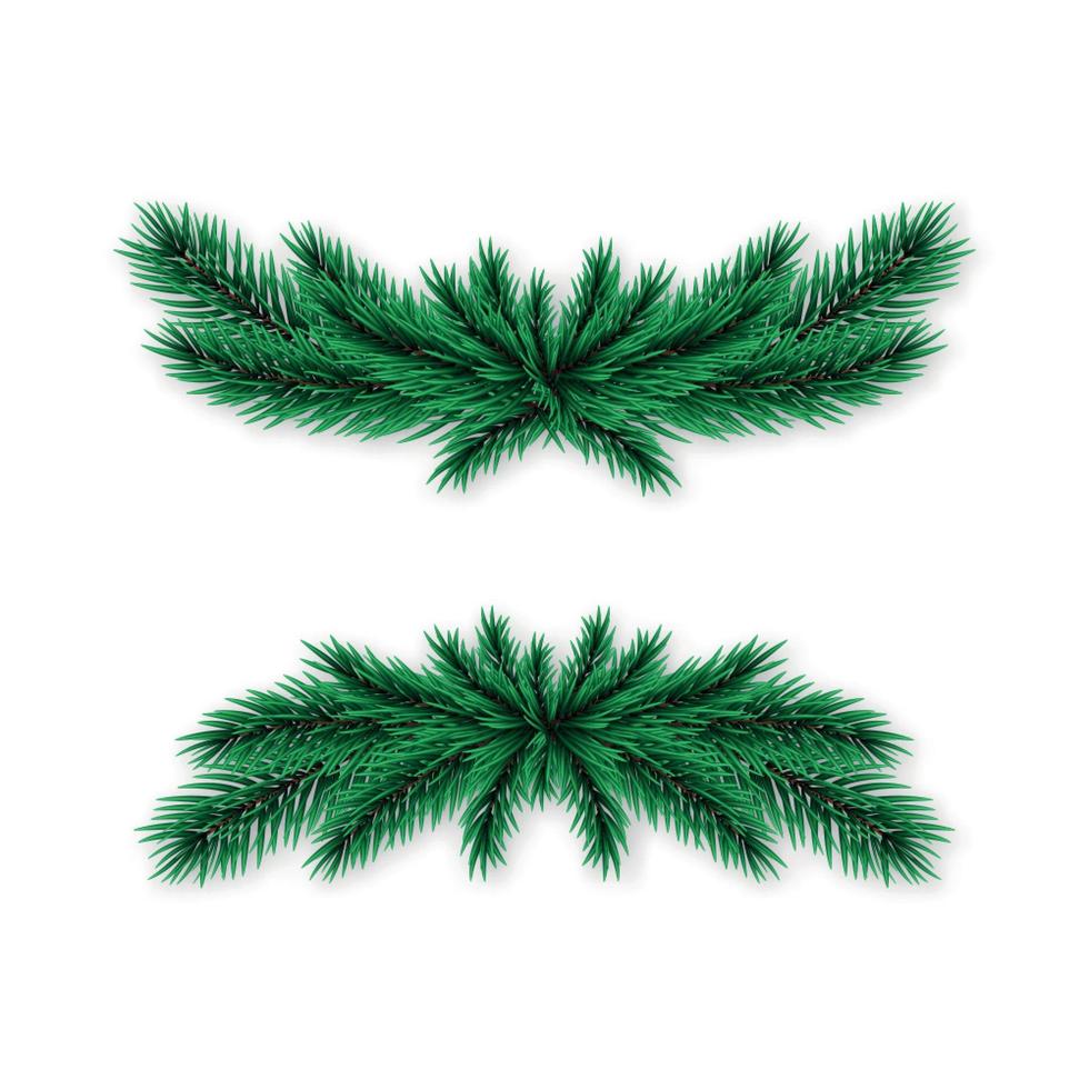 Realistic spruce wreath isolated on white background. vector