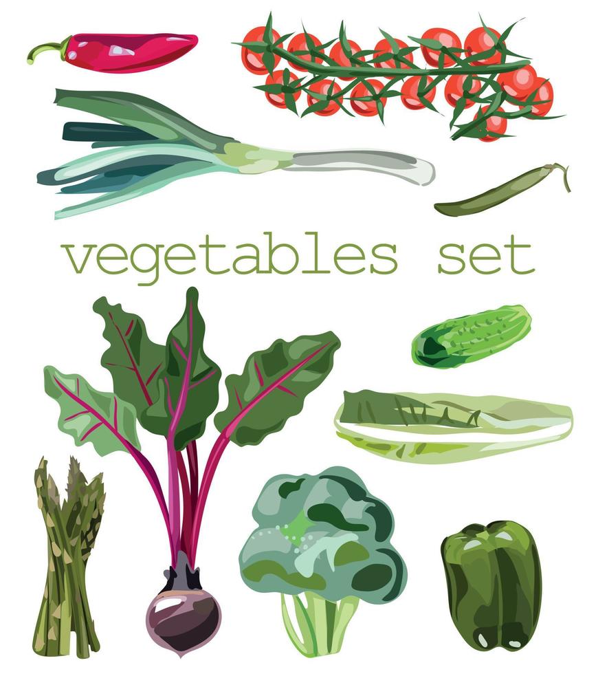 conjunto de vectores de verduras en estilo de dibujos animados. colección de productos agrícolas para el menú del restaurante, etiqueta de mercado.