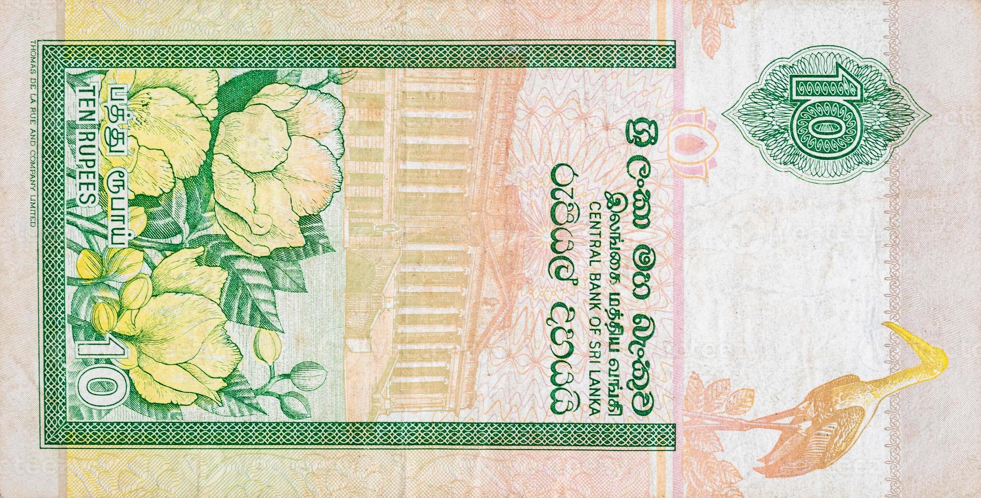 10 Sri Lankan rupees money bill colored banknote fragment photo