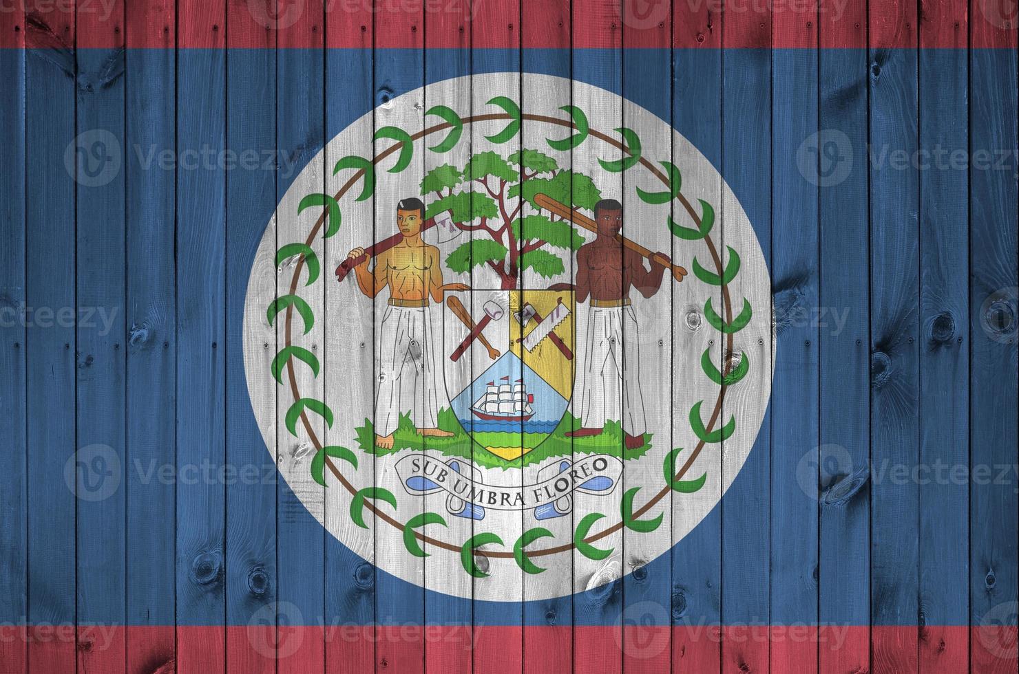 Belize flag depicted in bright paint colors on old wooden wall. Textured banner on rough background photo