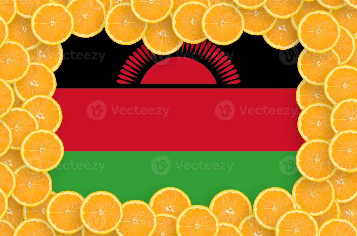 Malawi flag  in fresh citrus fruit slices frame photo