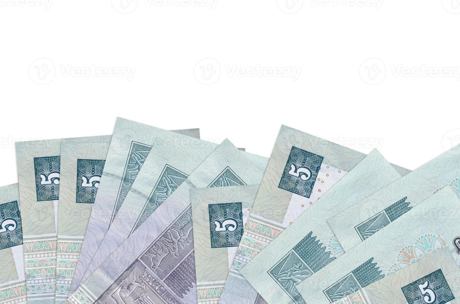 5 Egyptian pounds bills lies on bottom side of screen isolated on white background with copy space. Background banner template photo