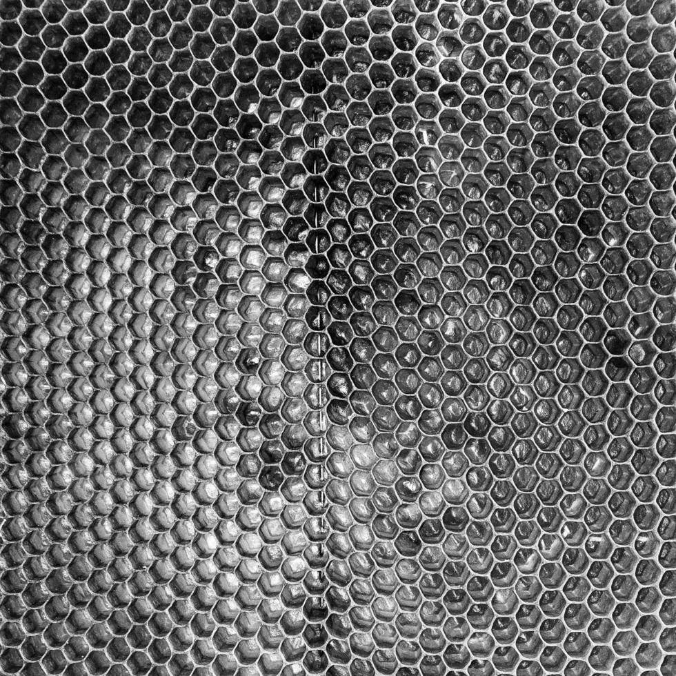 Abstract hexagon structure is honeycomb from bee hive photo