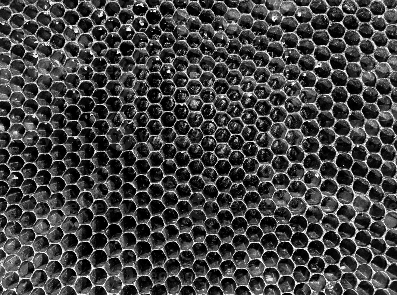 Abstract hexagon structure is honeycomb from bee hive photo