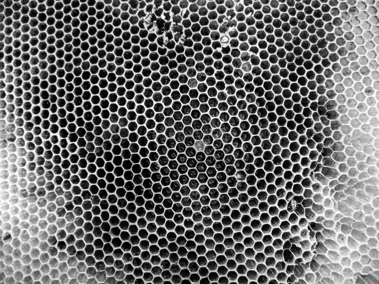 La estructura hexagonal abstracta es un panal de abejas de la colmena. foto