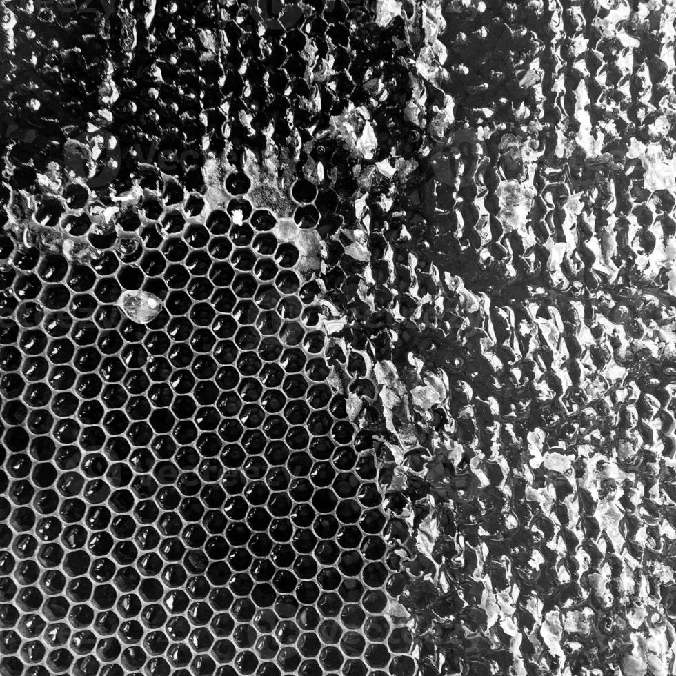 Drop of bee honey drip from hexagonal honeycombs photo
