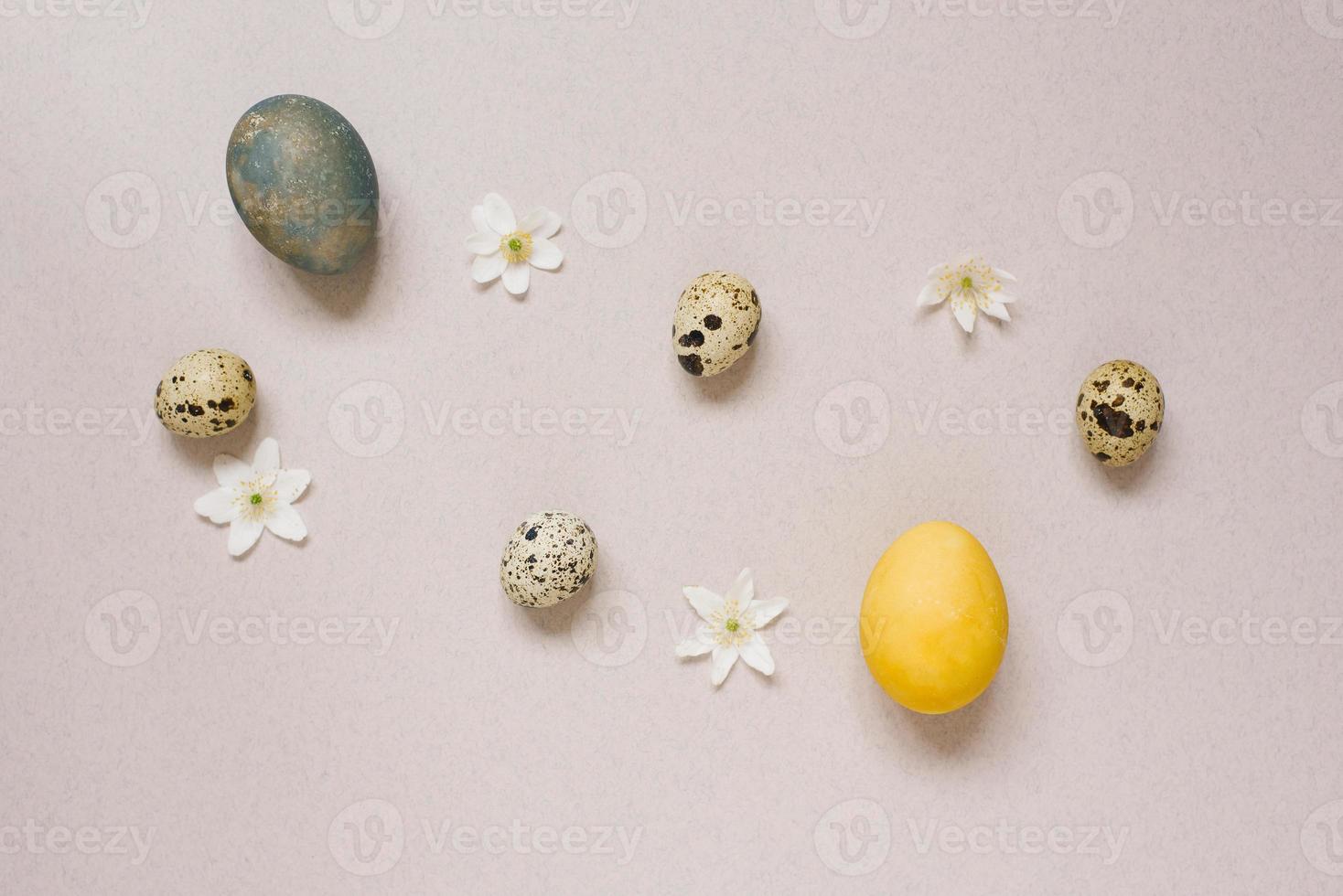 Top view of the Happy Easter holiday background concept decoration arrangements. There was a quail egg and a chicken Easter egg with white flowers on the beige table. photo