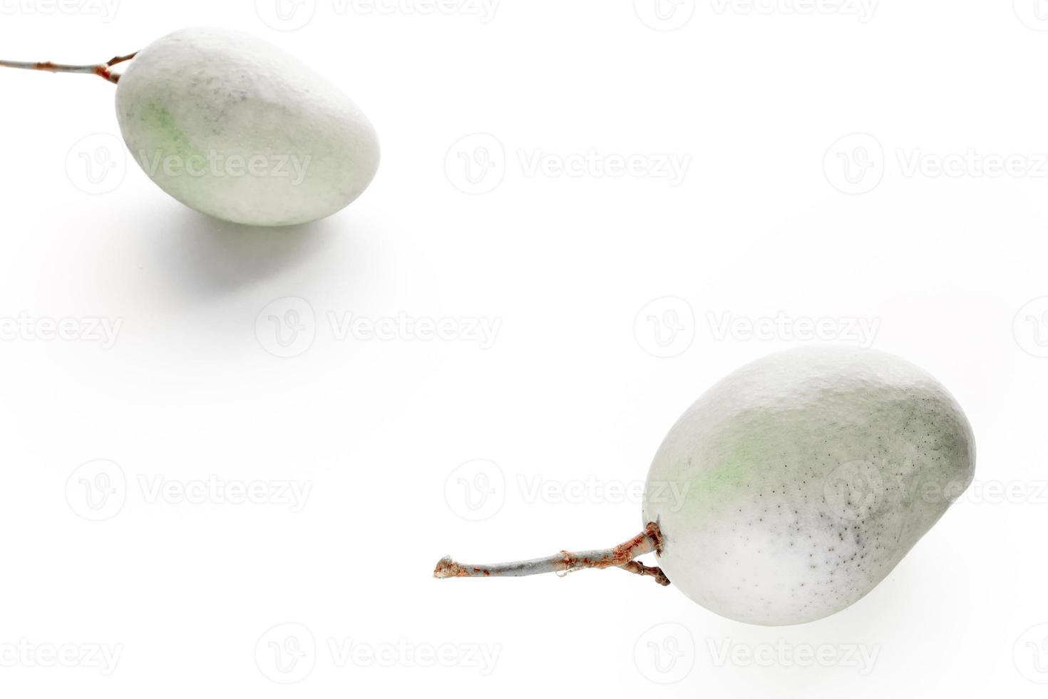 Gray mango on white background photo