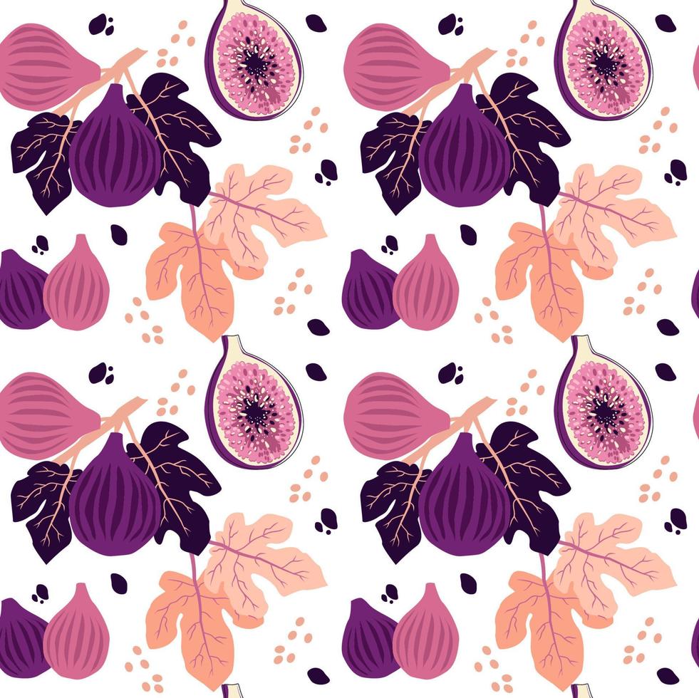 Fig vector pattern