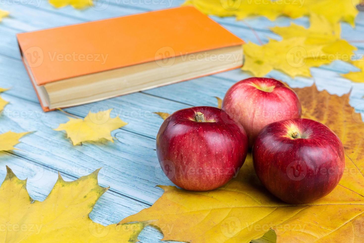 red apples and an old book with maple leaves photo