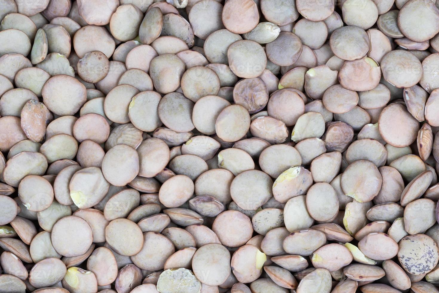 Green and brown lentils seamless pattern background photo