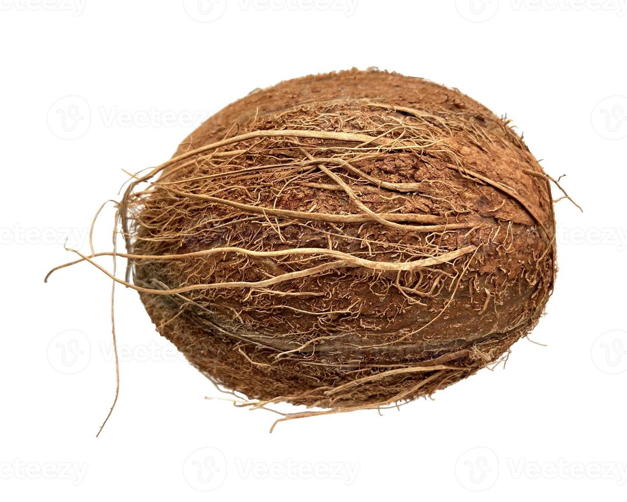 Coconut empty  shells  isolated on white background. photo